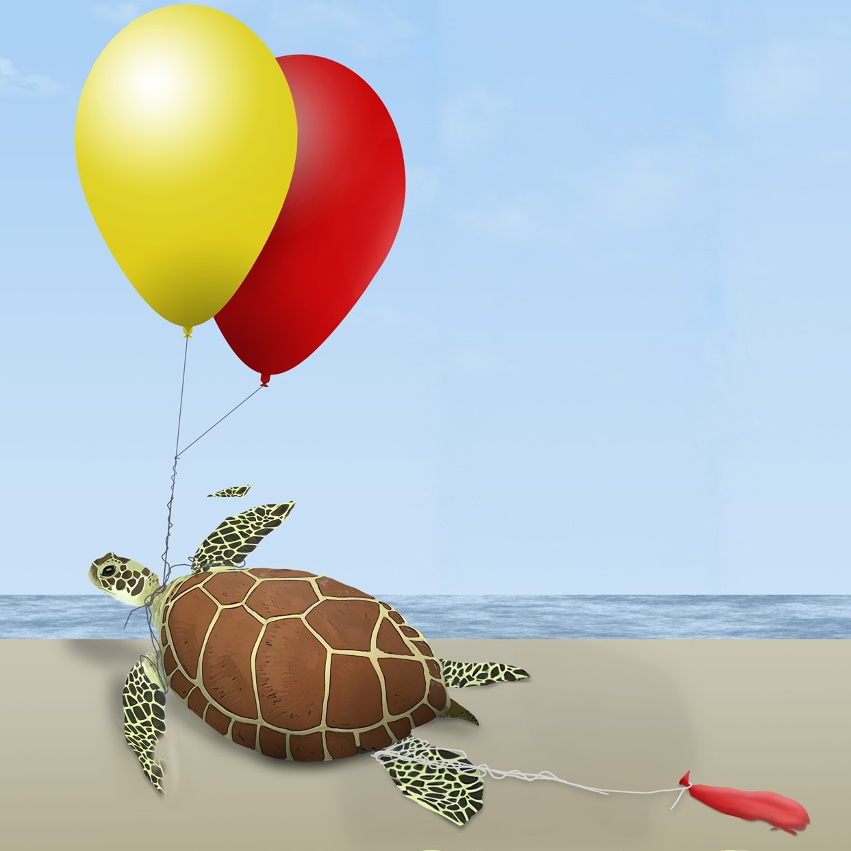 turtle caught in balloons and string