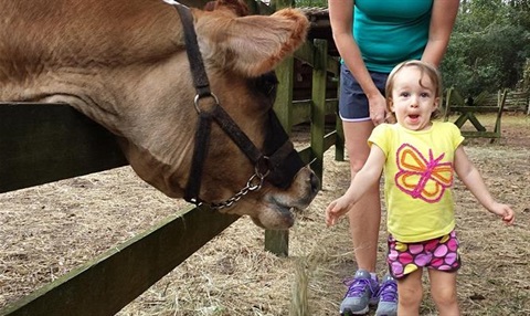 Excited child with cow at Morningside