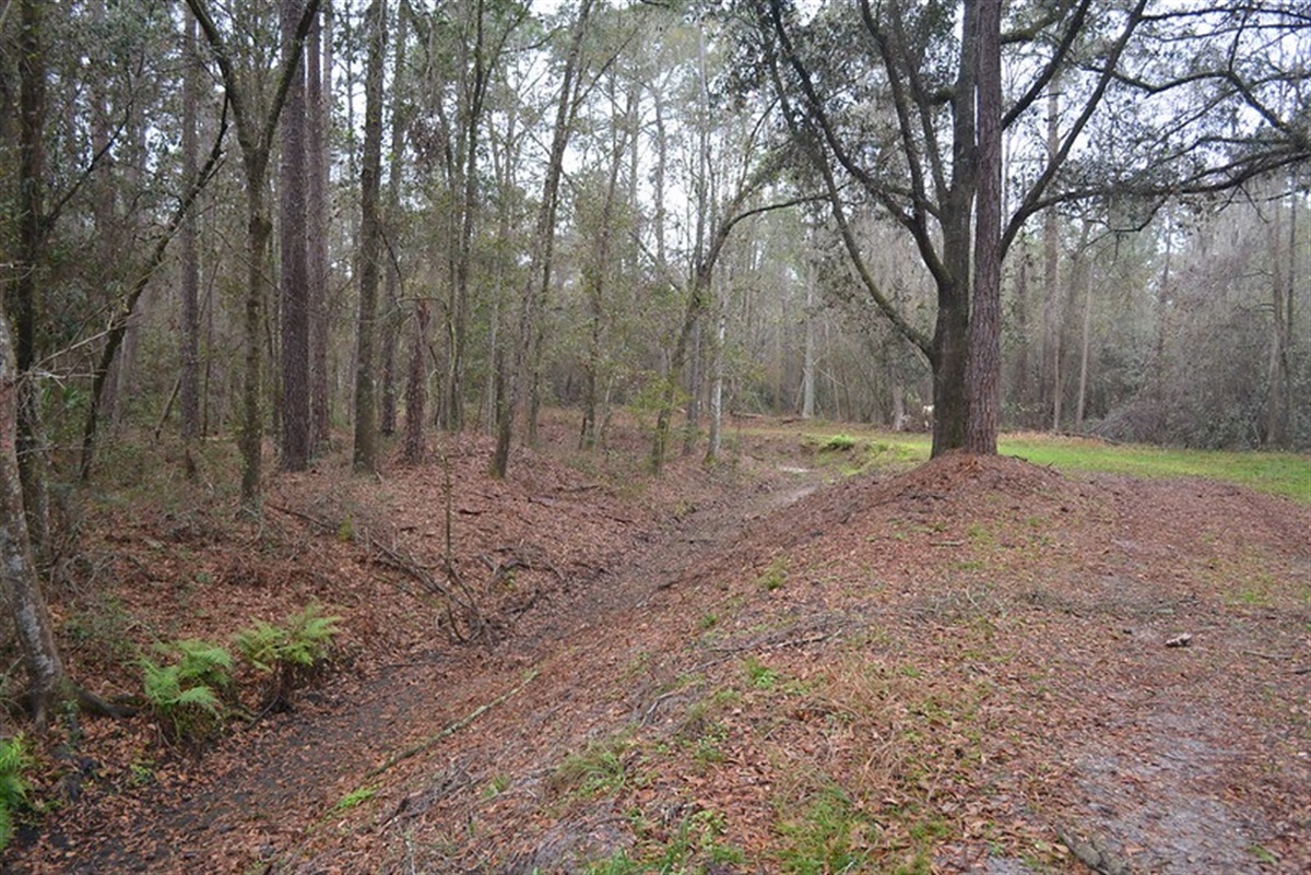 Flatwoods Conservation Area Welcome to the City of Gainesville