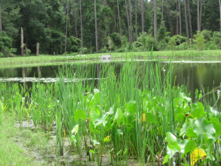 Water reservoir for stormwater