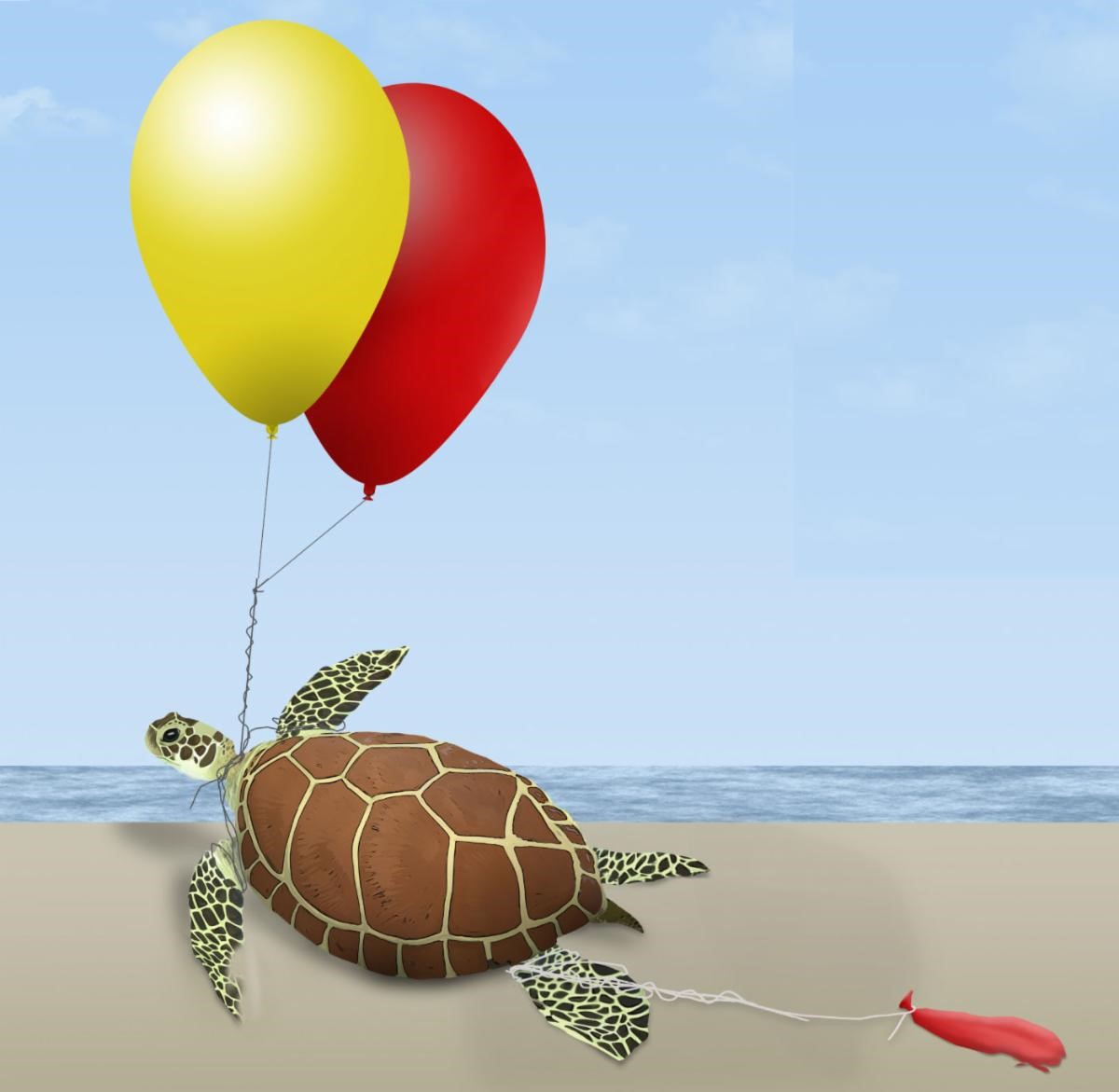 turtle with balloons