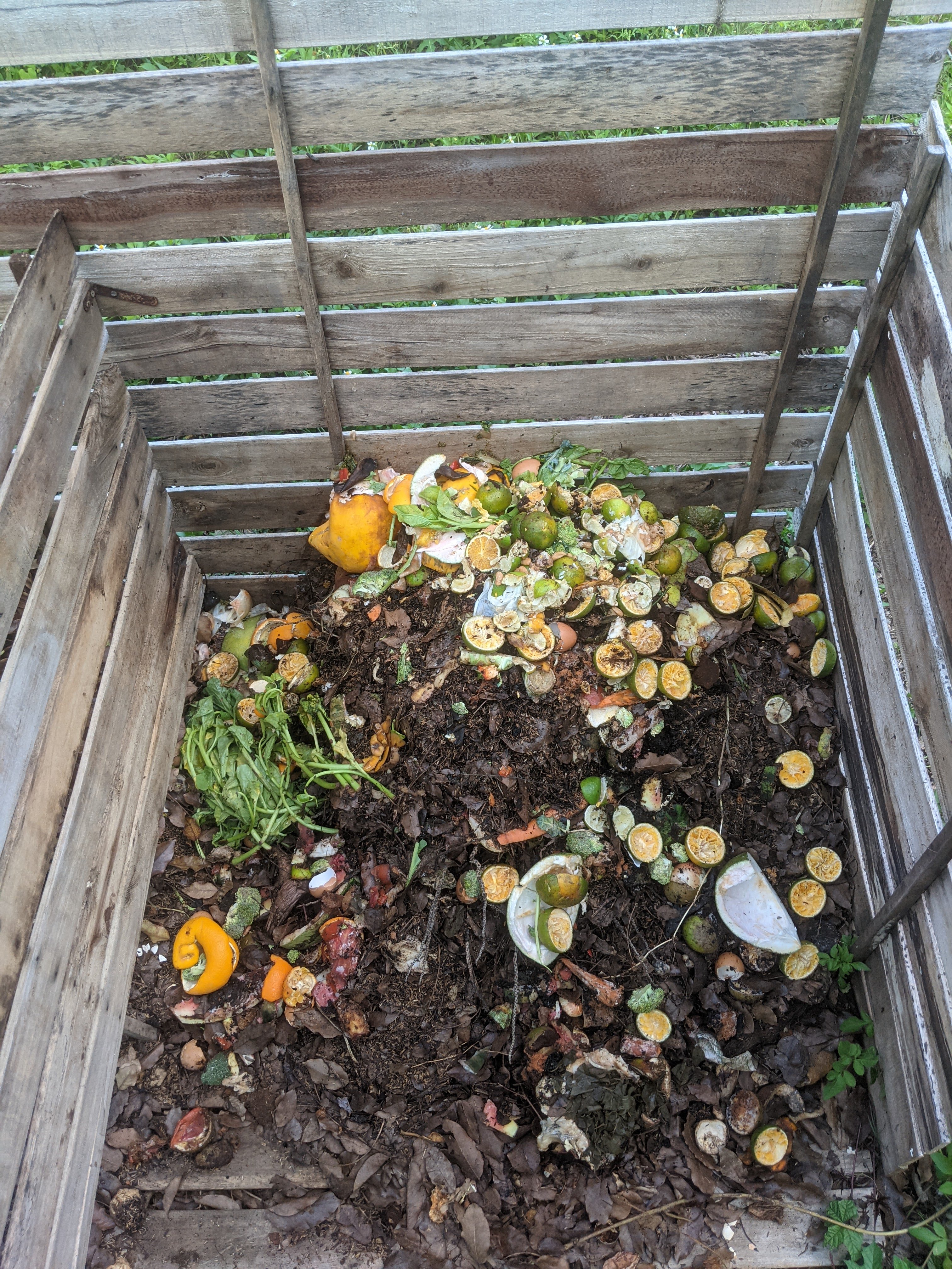 compost pile with food scraps and wooden enclosure