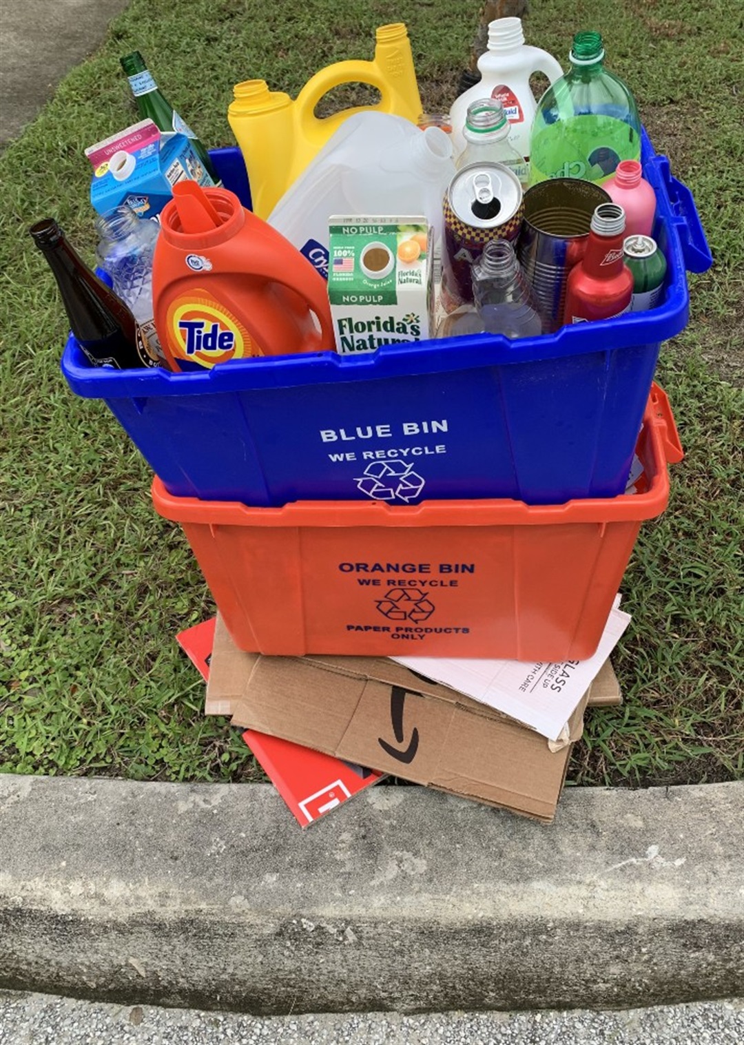 Takeout Container Recycling Tips