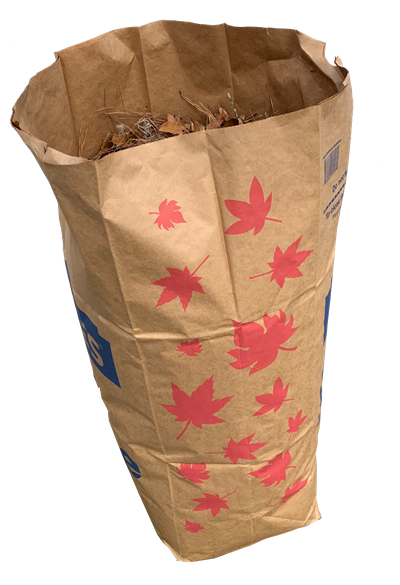brown paper lawn and leaf bag with leaves in it