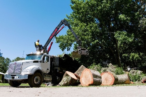 https://www.gainesvillefl.gov/files/assets/public/v/1/recycling/images/claw-truck-removing-tree-debris.jpg?w=500&h=333