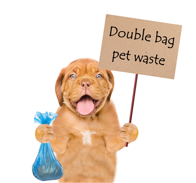 https://www.gainesvillefl.gov/files/assets/public/v/1/recycling/images/double-bag-pet-waste_dog-holding-sign-002.png?w=400&h=374