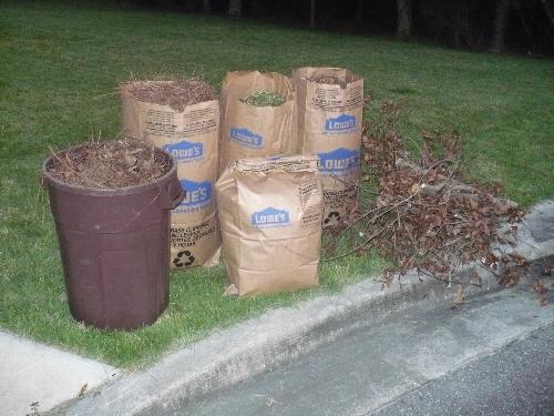 Lowe's 5-Count 30-Gallons Brown/Tan Outdoor Paper Lawn and Leaf Trash Bag  in the Trash Bags department at Lowes.com