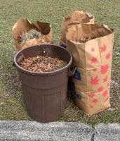 Yard Waste Collection Welcome to the City of Gainesville