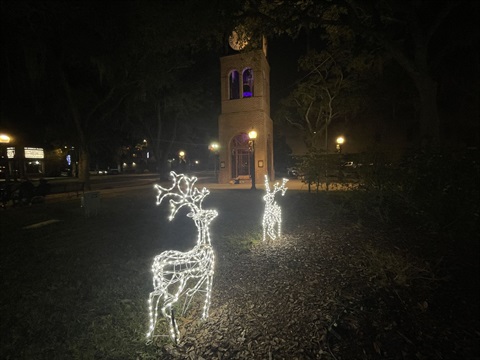 holiday lights on city hall lawn